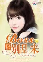 孕寵襲人:BOSS,別亂來