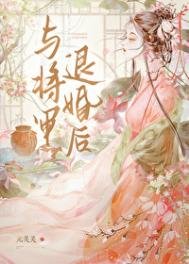 與將軍退婚後