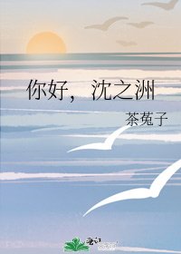 你好，沈之洲